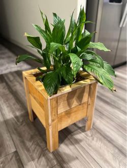 Wooden Planter Stand