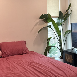 Queen mattress - Great condition memory foam