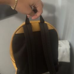 Coach Backpack 