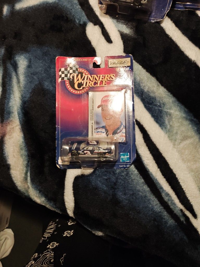 DALE EARNHARDT JR CAR