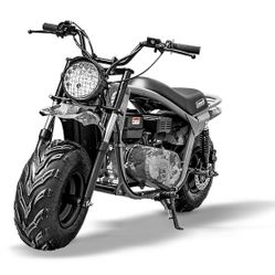 Mini Bike Performance 