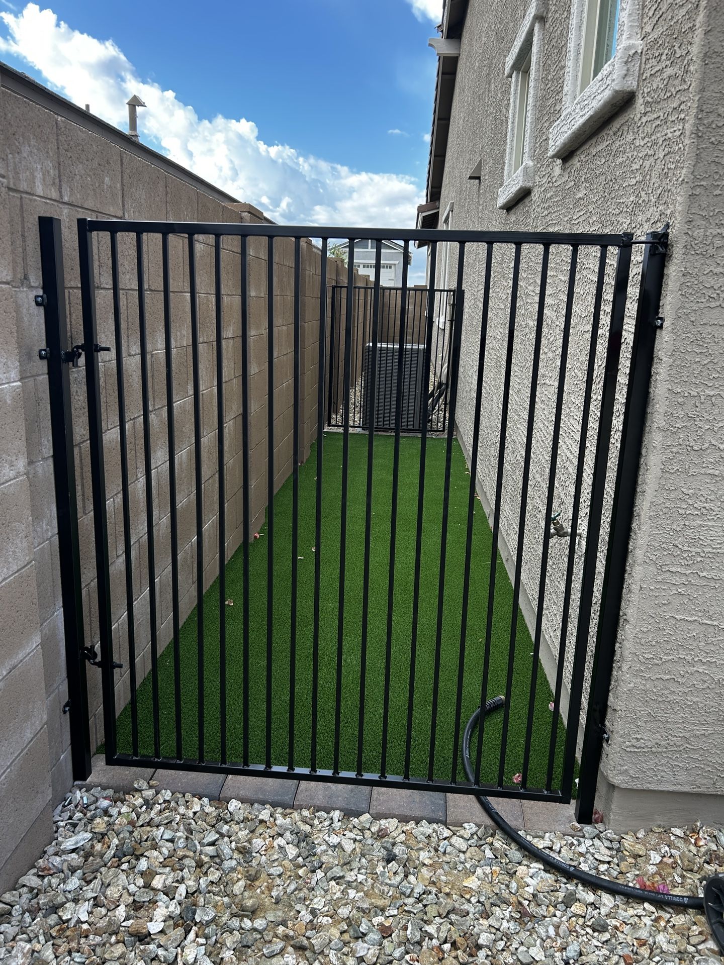 Dog Run 