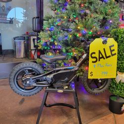 2025 Stacyc 12eDrive