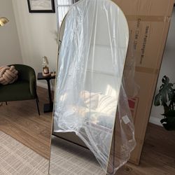 24"x65" Full Length Arched Aluminum Alloy Standing Floor Mirror, Black Frame