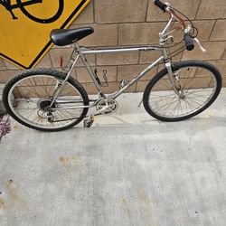 Vintage Diamondback trail streak mountain bike.