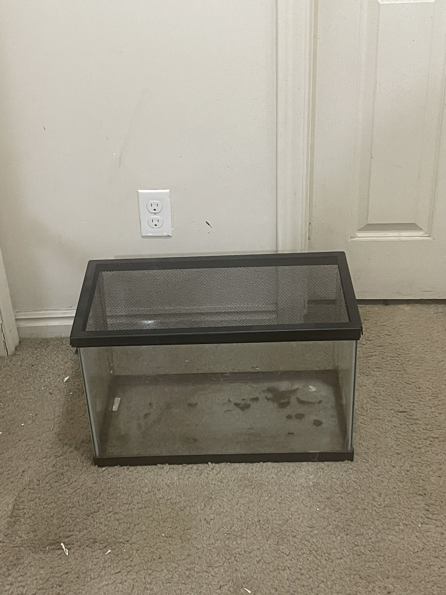 10 Gallon Tank
