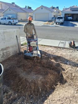 🍀Stump grinding 💪