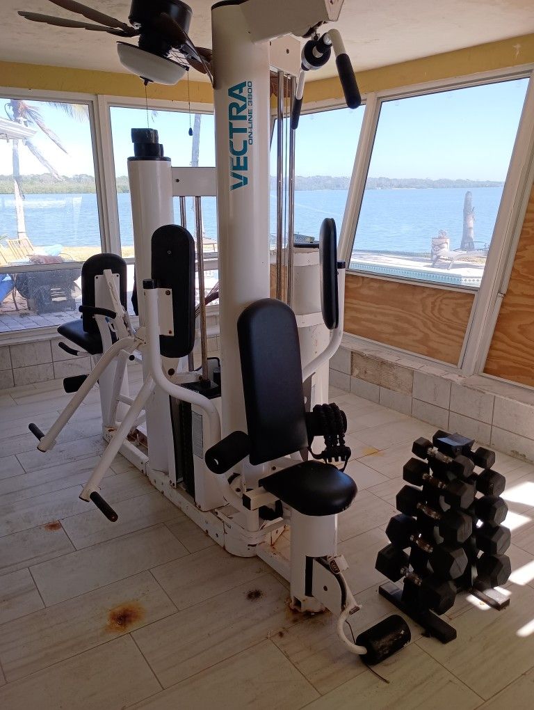 Vectra 6500 Exercise Machine