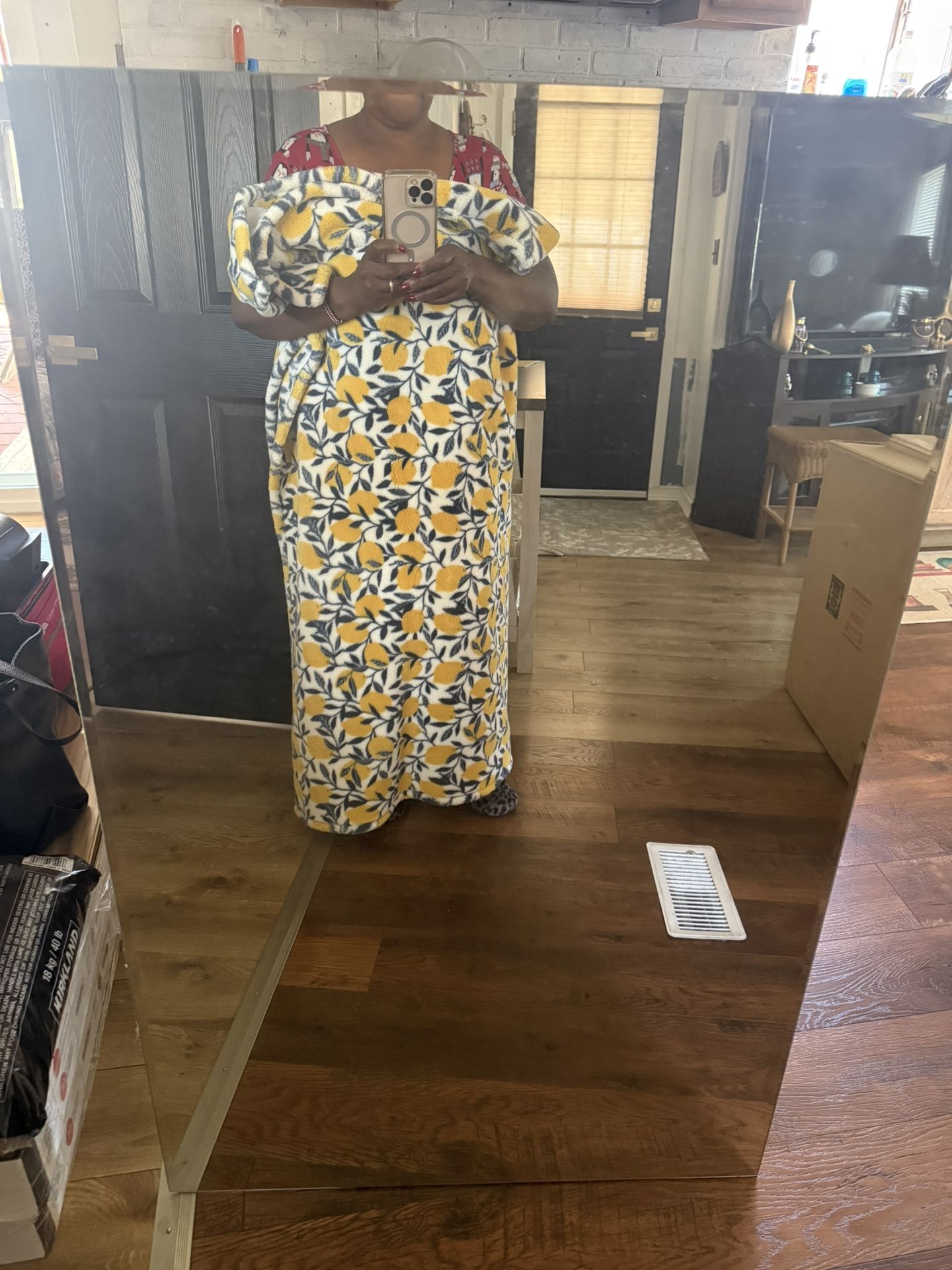 Free Long Mirror