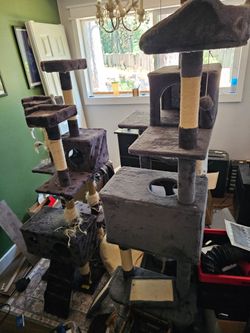 2 large cat trees