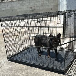 Dog Kennel, Large Not New Used But Good