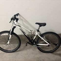 Giant Mountain Bike 