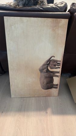 Elephant Canvas Wall Art