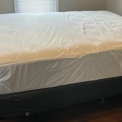 Sealy Queen Sized Mattresses And Box Spring 