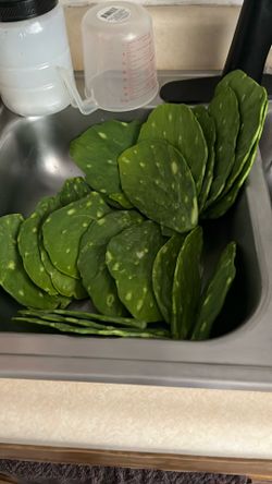 Nopales Frescos