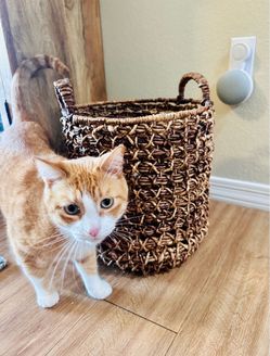 Medium Woven Seagrass Storage Basket