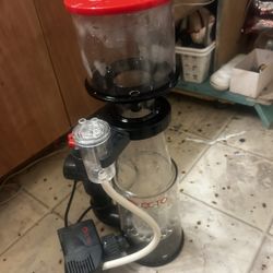 2 55 Gallon Tanks Protein Skimmer