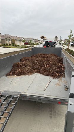 Wood chip