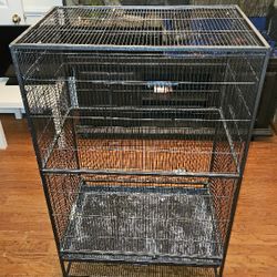 Bird Cage