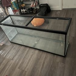 fishing tank