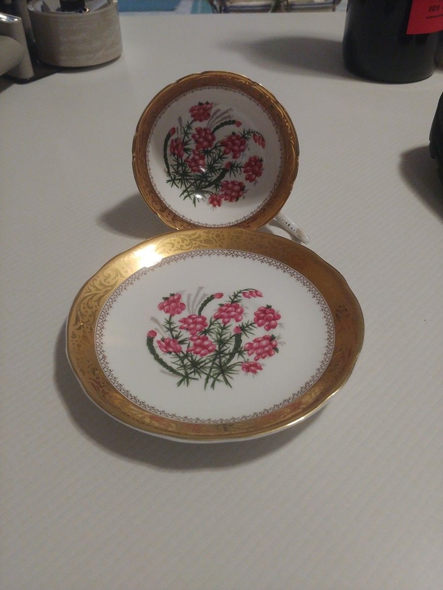 EB Foley Teacup And Saucer #4762