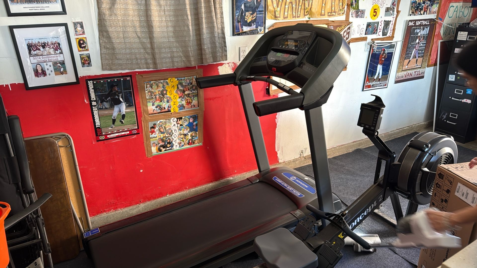 Free.  Treadmill Horizon T101