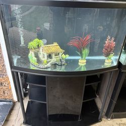 46 Gallon Bowfront Aquarium