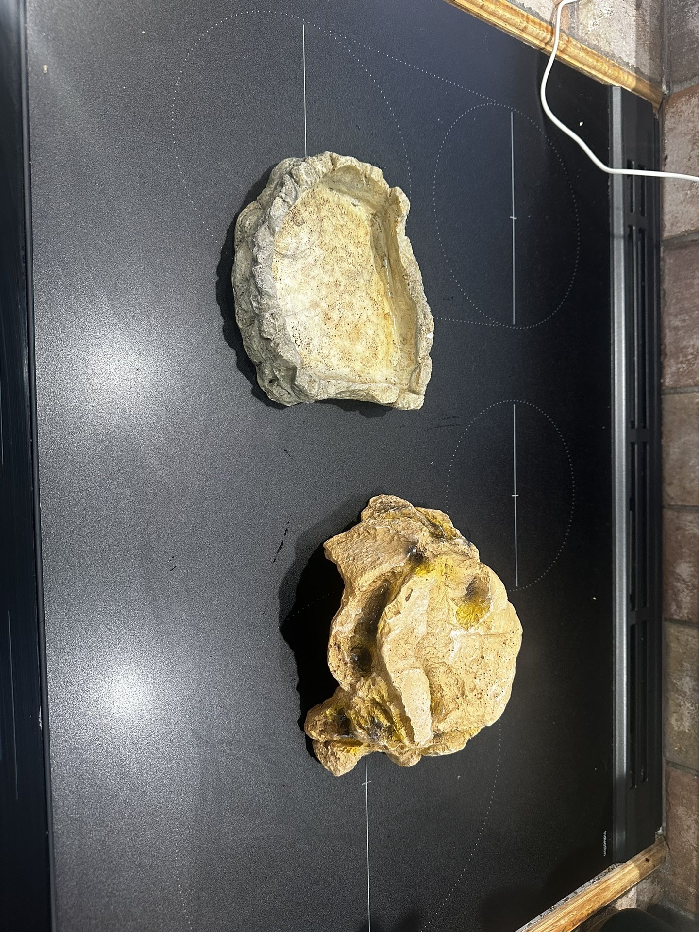 small reptile hide and water/food dish