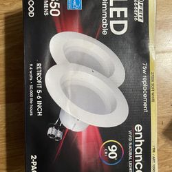 LED Dimmable Lights