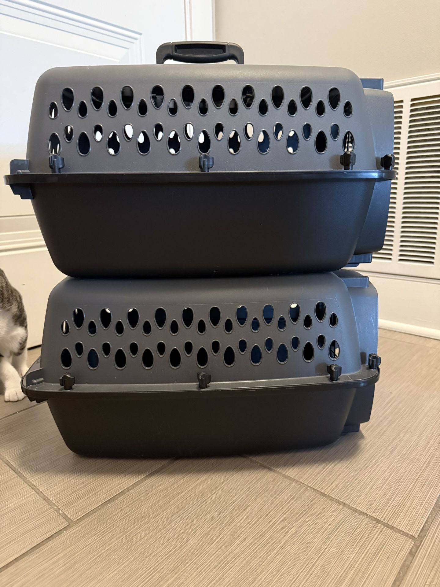 Cat Carriers