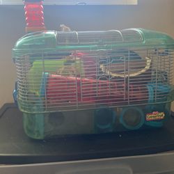 hamster cage and food 