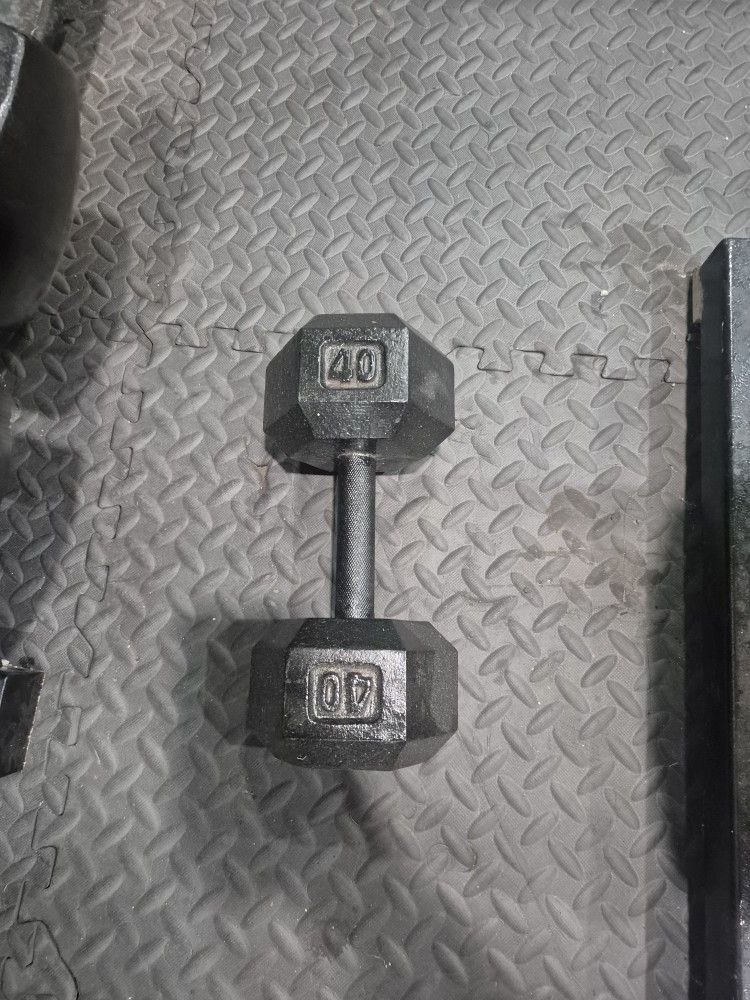 Single Dumbell $40 Obo