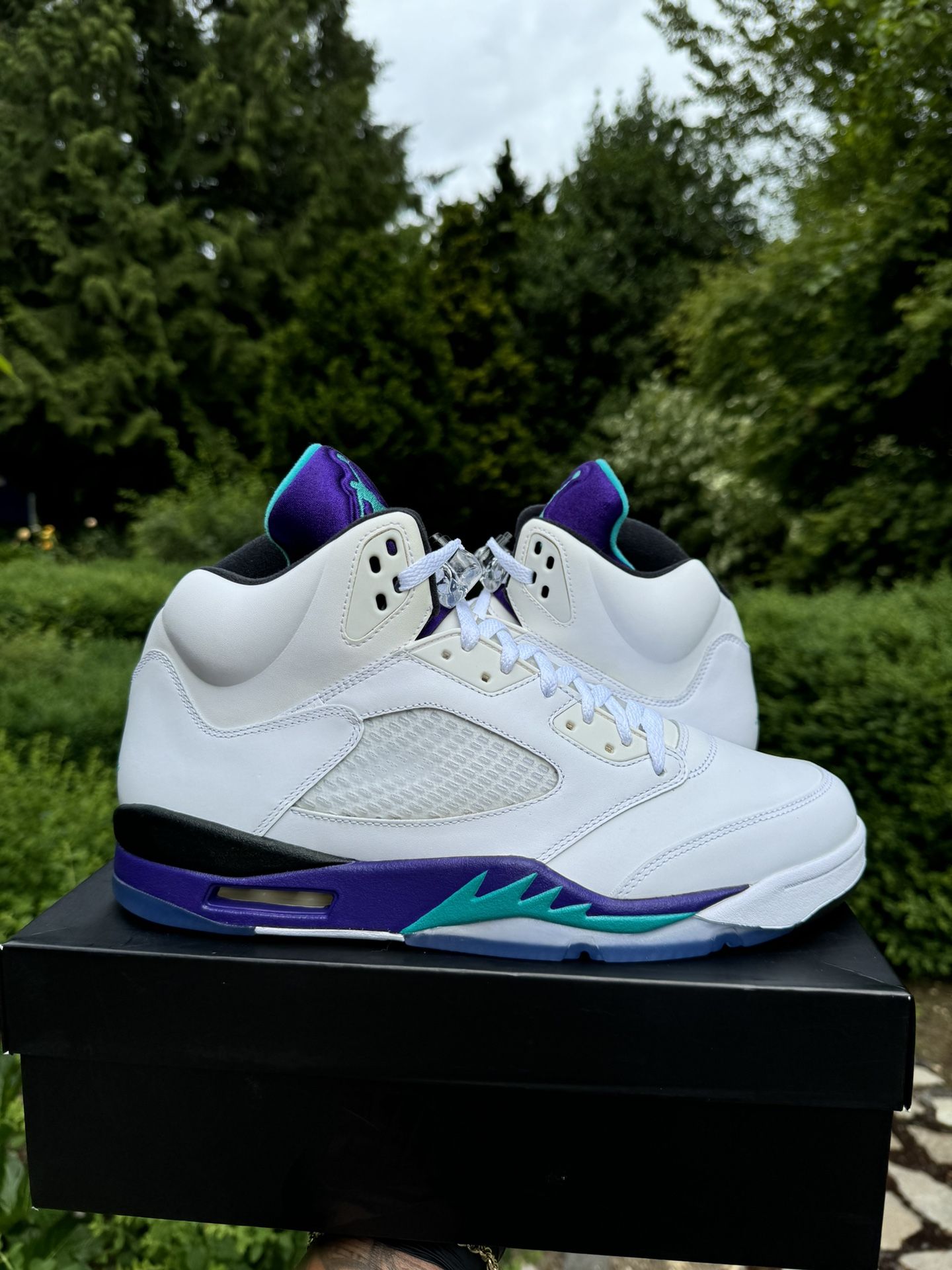 Air Jordan Retro 5 Grape Size 13