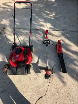 50$ mow and trim