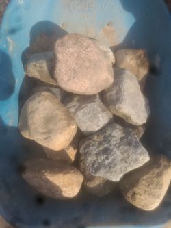 Large cobble stone. Oak forest