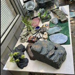 Terrarium With Accessories - Lizard