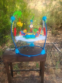 Baby Einstein Jumper