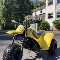 1984 Yamaha Tri Zinger 3 Wheeler 60