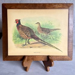 Vintage Rustic Wooden Pheasant Wall Decor 