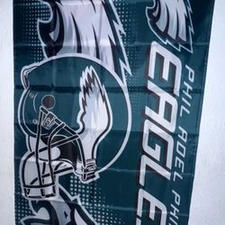 Eagles Flag 