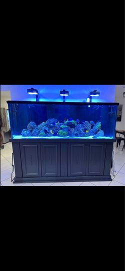 265 gallon aquarium