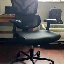 Ergonomic Desk Chair