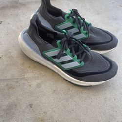 Adidas ultra boost 1.0 DNA