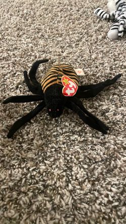 Beanie babbie spinner spider