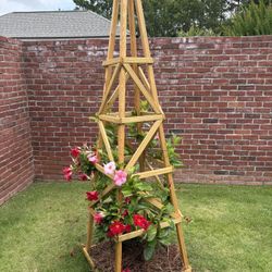 Garden Trellis 