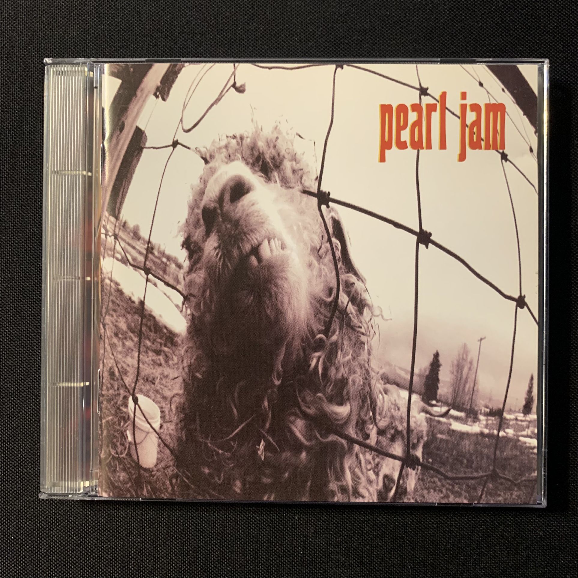 CD Pearl Jam - Vs (1993) Daughter