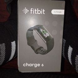 Fitbit 6