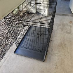 Large Breed Dog Crate