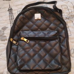 Small  Backpack 