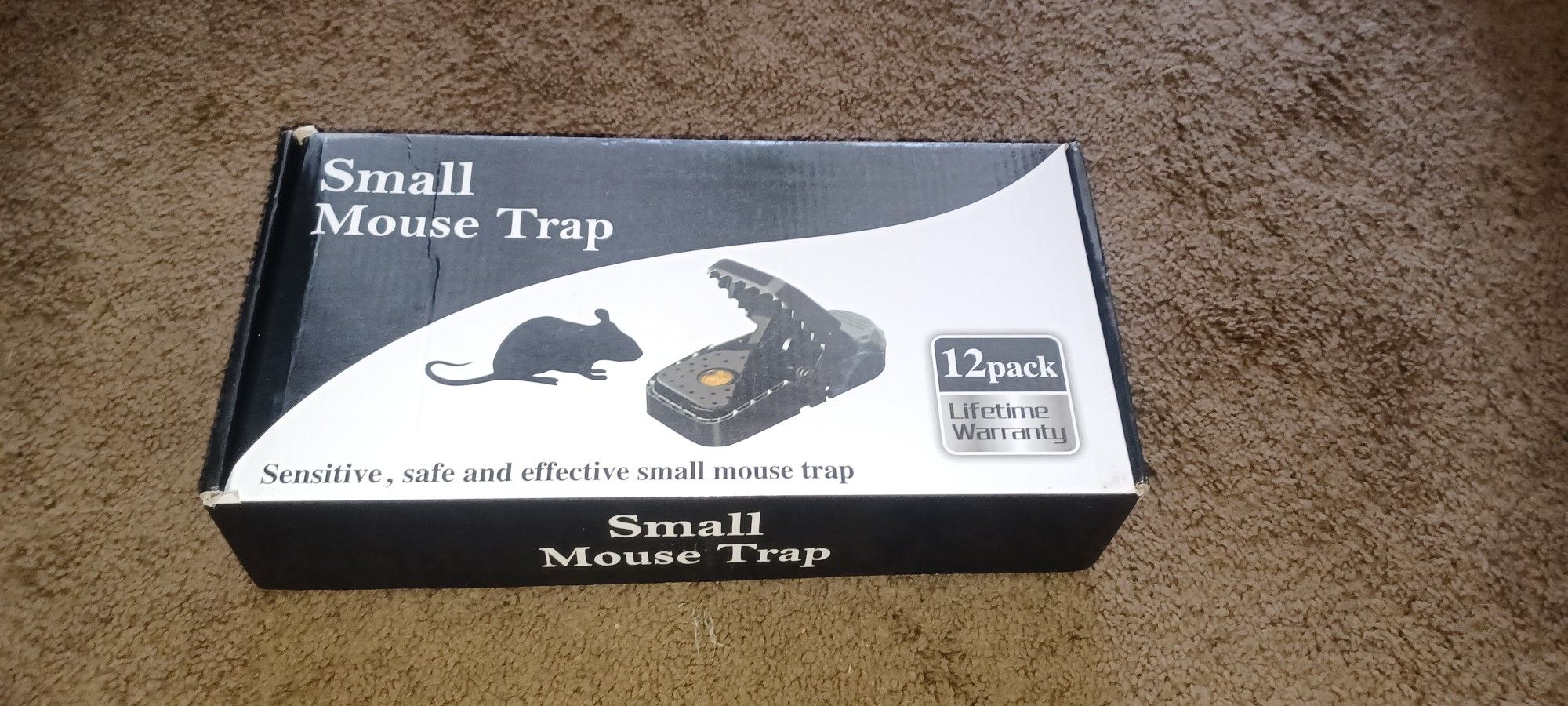Small Mouse Trap